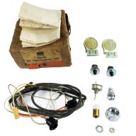 1961 1962 Pontiac (See Details) Instrument Panel Courtesy Light Accessory Kit NOS