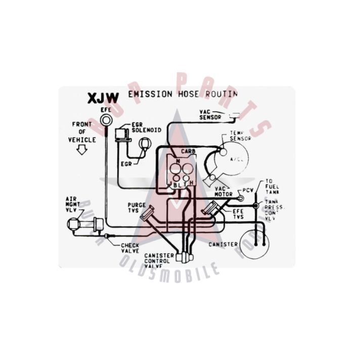 
1984 Pontiac Firebird 305 Engine Models XJW Emission Routing Decal 
