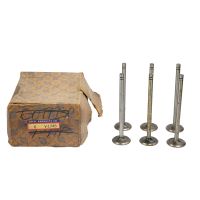 1965 1966 1967 Buick And Oldsmobile (See Details) V6 Intake Valve Set (6 Pieces) NORS