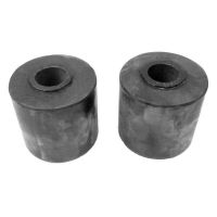 Buick (See Details) Track Bar Bushing (2 Pieces)