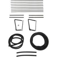 1954 1955 Buick and Oldsmobile (See Details) Glass Weatherstrip Kit (20 Pieces)