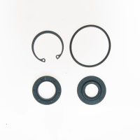 1973 1974 1975 Buick Apollo Steering Gear Input Shaft Seal Kit