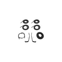 1955 1956 Pontiac 4-Door Sedan (See Details) Body Weatherstrip Kit (8 Pieces)