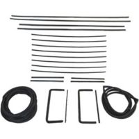 Buick (See Details) Glass Weatherstrip Kit (22 Piece)
