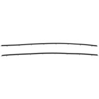 Buick (See Detail) Outer Beltline Weatherstrip (2 Pieces)