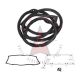 1950 1951 1952 1953 Buick And Oldsmobile (See Details) Windshield Rubber Weatherstrip