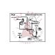 
1990 Pontiac Firebird 5.0 Liter Engine California Models WITH Automatic or Manual Transmission (See Details) FKH Emission Routing Decal
