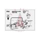 
1992 Pontiac Firebird 3.1 Liter Engine Models WITH Manual Transmission (See Details) PAK Emission Routing Decal
