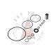 1974 1975 1976 1977 1978 1979 Oldsmobile (See Details) Saginaw Power Steering Pump Repair Kit (12 Pieces)