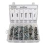 Universal Stainless Steel Bumper Bolt Assortment Tray (53 Pieces) 